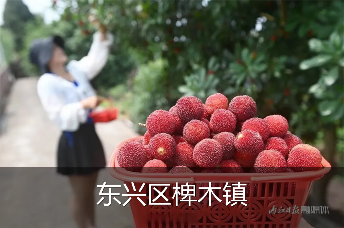 东兴区椑木镇