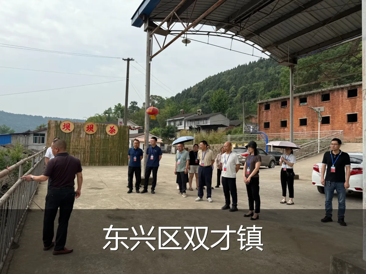 东兴区双才镇