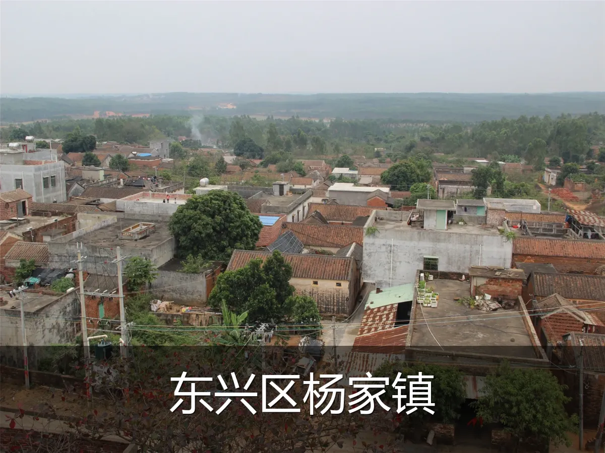东兴区杨家镇