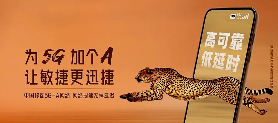 东兴区东兴区高桥街道 移动宽带