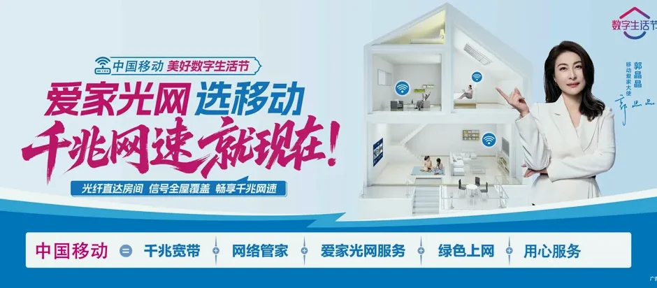 东兴区东兴区双桥镇 移动宽带